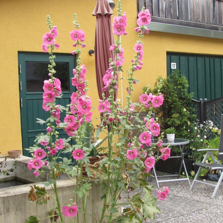 Ferienwohnung "Eifelstueffje" Mechernich Buitenkant foto